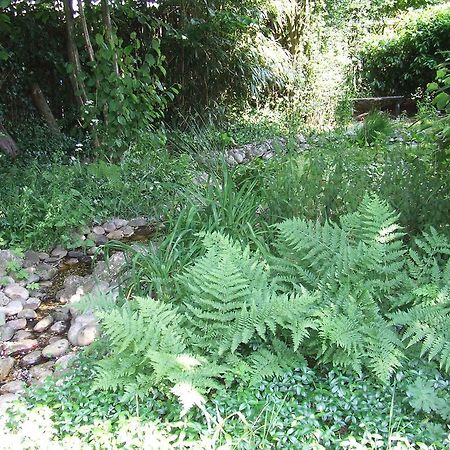 B&B 'T Nije Huus Schoonoord ภายนอก รูปภาพ